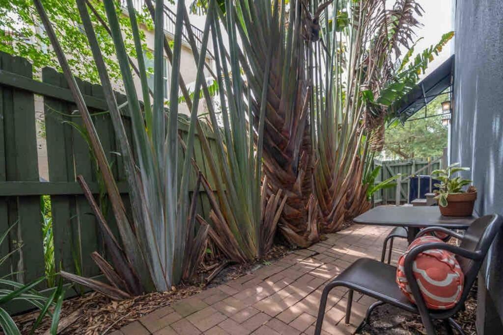 Nawlins Vibe With Rooftop Verandah Near Riverwalk And Downtown Tampa Luaran gambar